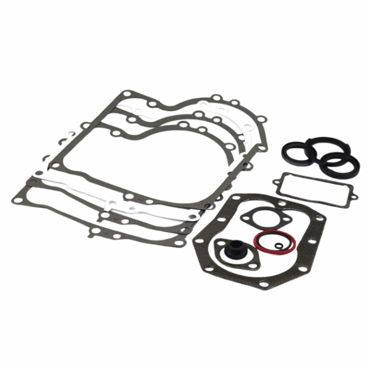 Gasket Kit 494241 in the group  at Entreprenadbutiken (494241)