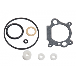 Gasket kit 498261 in the group  at Entreprenadbutiken (498261)