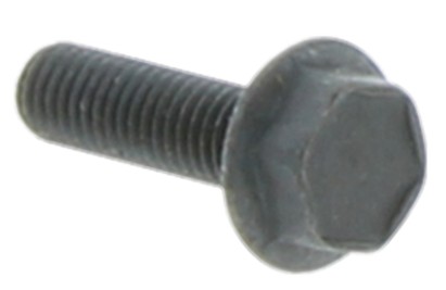 Screw M6Sf 5X18 5032000-21 in the group  at Entreprenadbutiken (5032000-21)