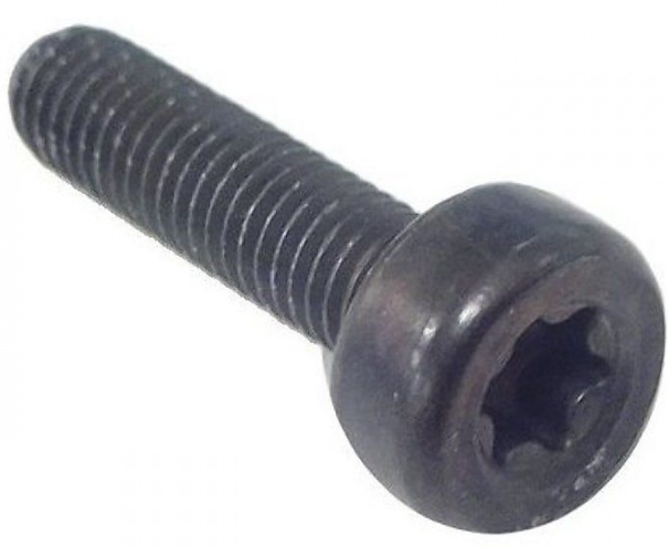 Screw Torx D10, M5X20 in the group  at Entreprenadbutiken (5032153-20)