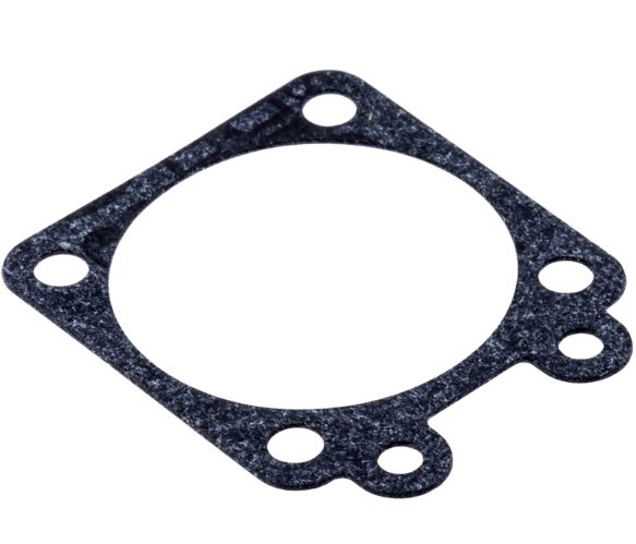 Diaphragm Gasket 235R, 240R 245RX, 55 in the group  at Entreprenadbutiken (5055201-10)