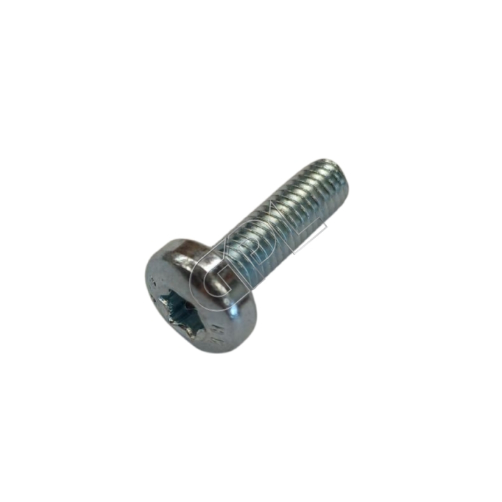 Screw in the group at Entreprenadbutiken (5055577-04)