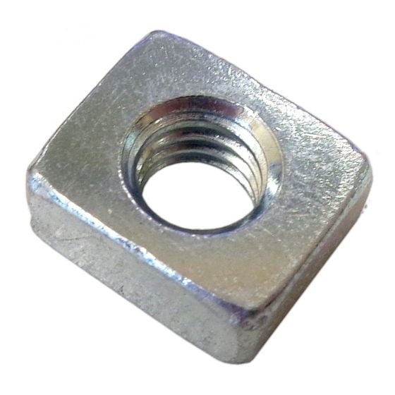 Nut in the group at Entreprenadbutiken (5064093-01)