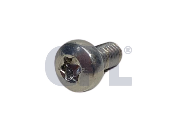 Screw in the group  at Entreprenadbutiken (5100187-03)