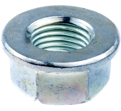 Nut in the group at Entreprenadbutiken (5132419-01)