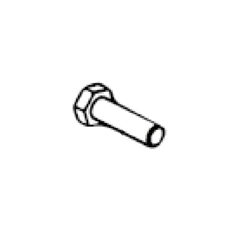 Screw 5196534-55 in the group  at Entreprenadbutiken (5196534-55)