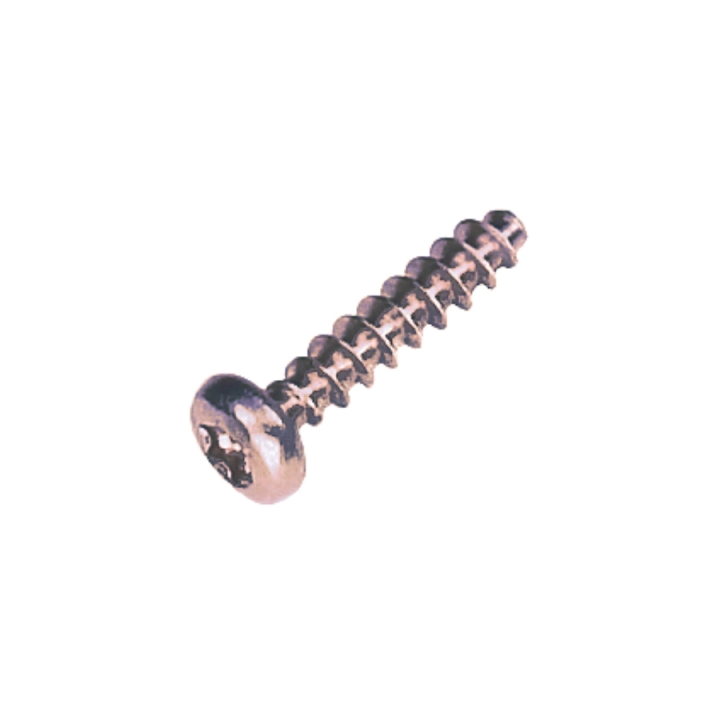 Pt Screw 40X18 T20 5205223-01 in the group at Entreprenadbutiken (5205223-01)