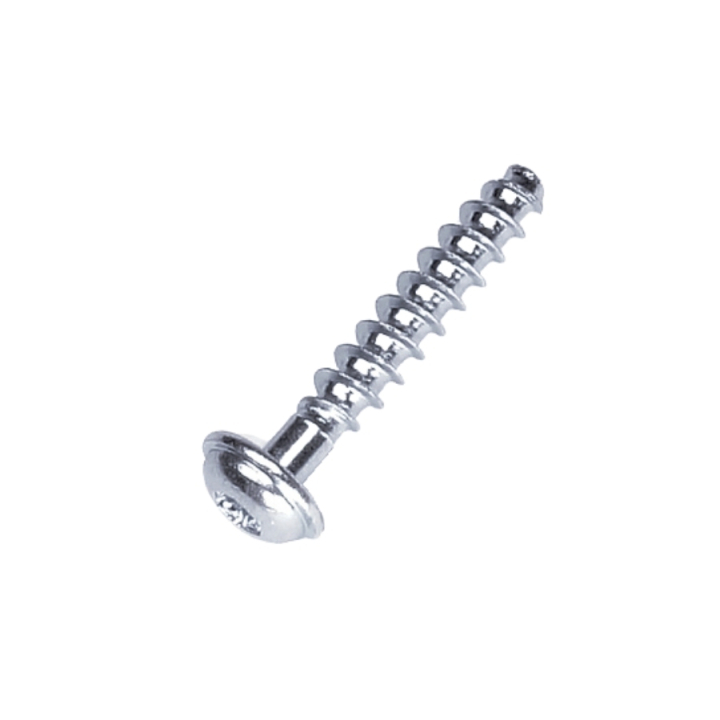 Screw T50X28 in the group at Entreprenadbutiken (5205247-01)