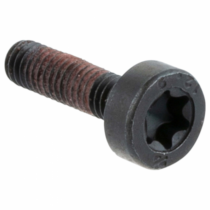 Screw 5268181-02 in the group at Entreprenadbutiken (5268181-02)