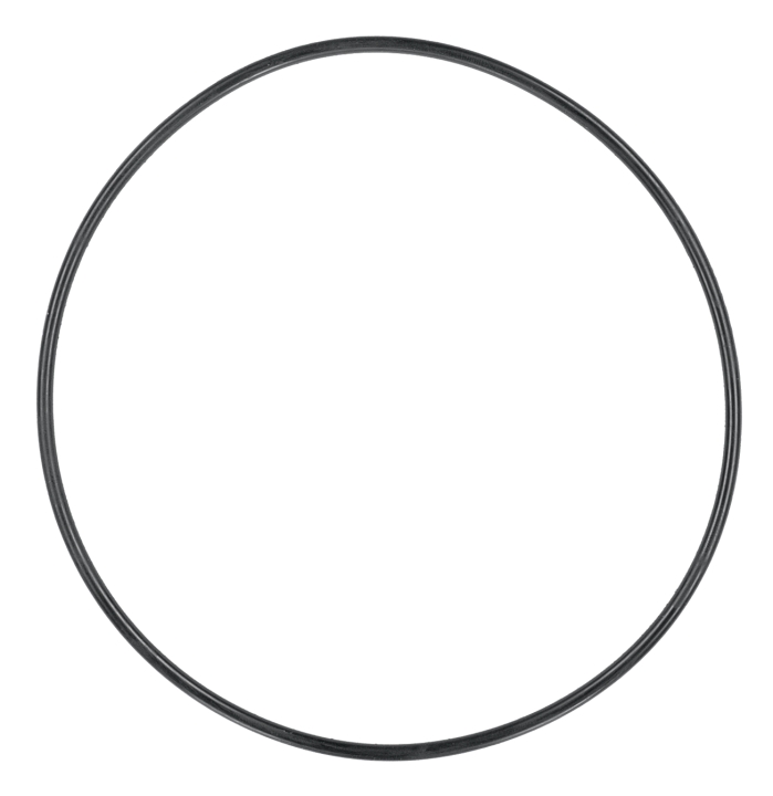 Seal in the group at Entreprenadbutiken (5295503-01)