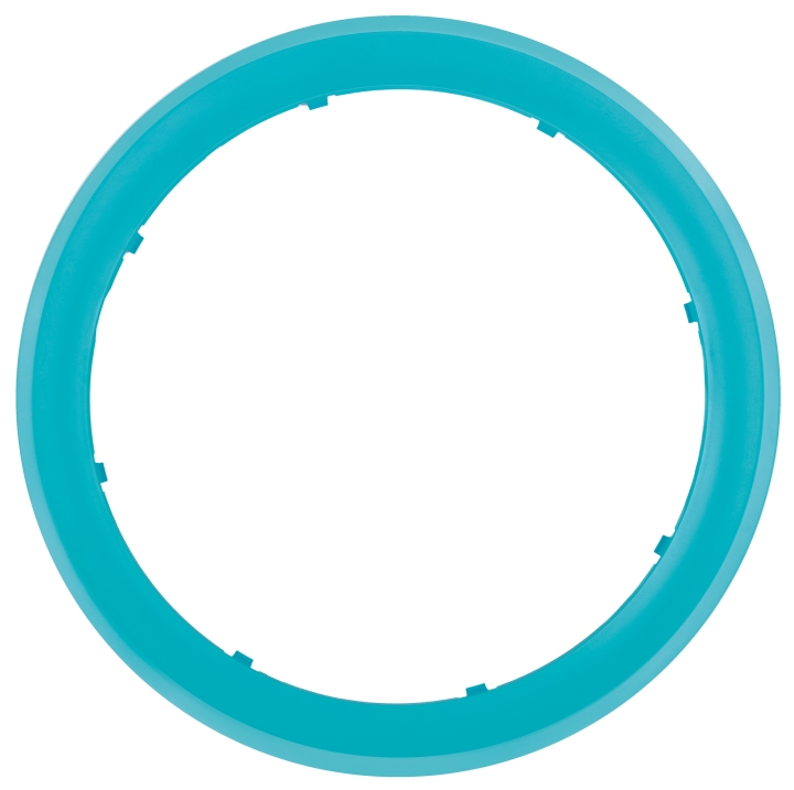 Ring outside turquoise in the group at Entreprenadbutiken (5298883-01)