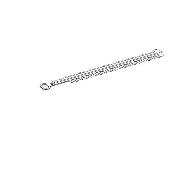 Leaves in the group at Entreprenadbutiken (5311467-18)