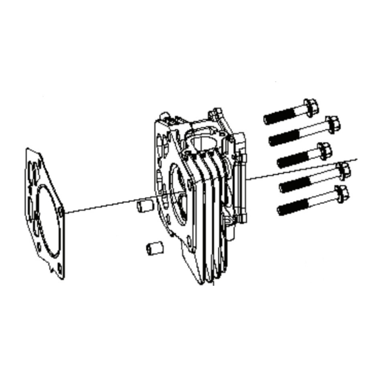 Cylinder Head Kit in the group  at Entreprenadbutiken (5311469-92)