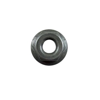 Nut in the group at Entreprenadbutiken (5321843-62)