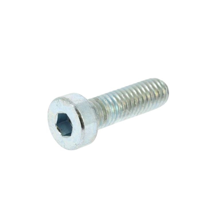 Screw 5382438-52 in the group at Entreprenadbutiken (5382438-52)