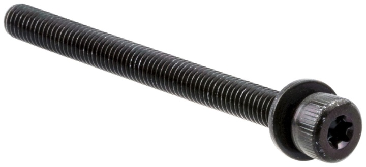 Screw in the group at Entreprenadbutiken (5442579-01)