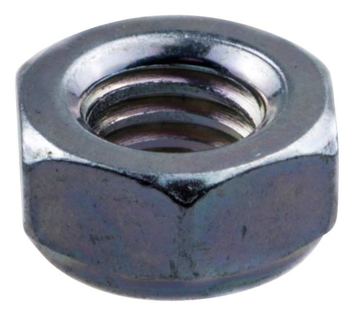 Nut in the group at Entreprenadbutiken (5443052-01)