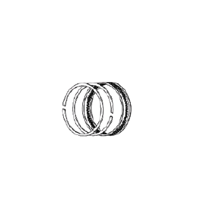Piston Ring Set in the group  at Entreprenadbutiken (5461906-01)