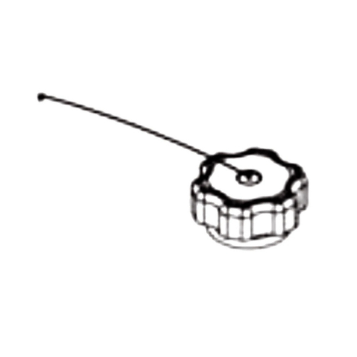 Fuel Cap Assy 50 State W/Chain in the group at Entreprenadbutiken (5803528-01)