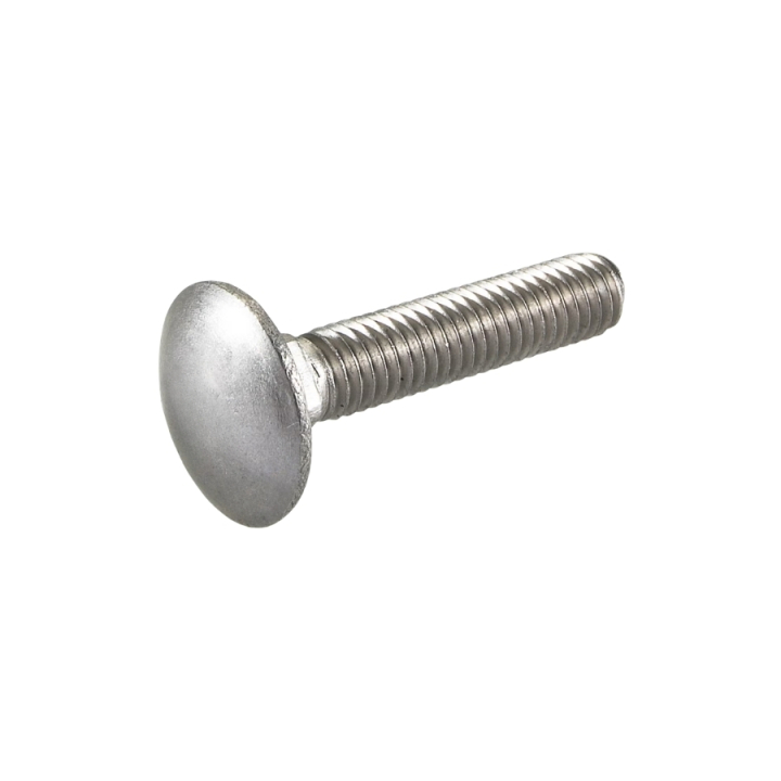 Carriage bolt in the group  at Entreprenadbutiken (5827361-01)
