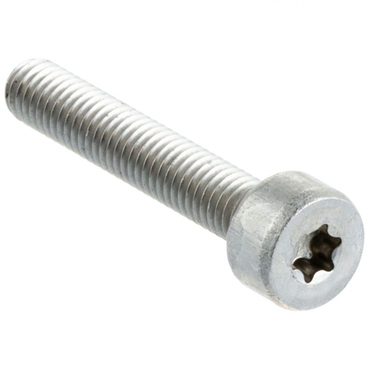 Screw M6X35 T27 5828855-01 in the group at Entreprenadbutiken (5828855-01)