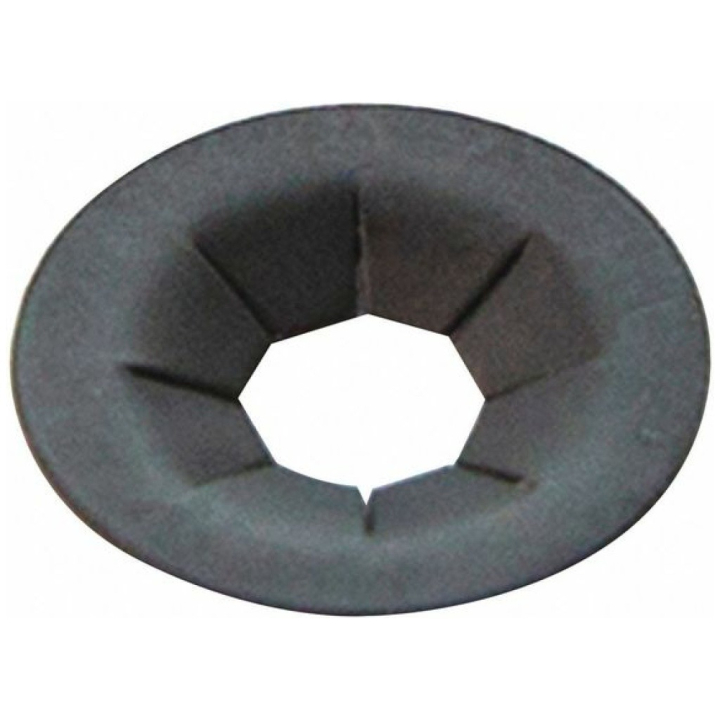 Nut in the group at Entreprenadbutiken (5833430-01)