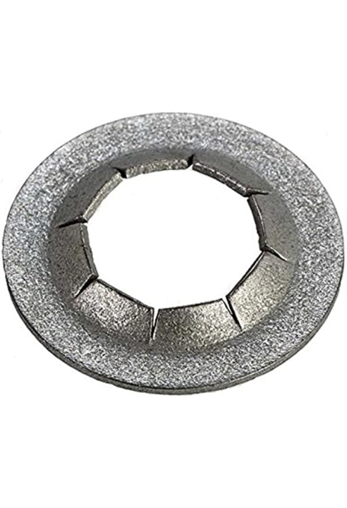 Nut in the group at Entreprenadbutiken (5842877-01)