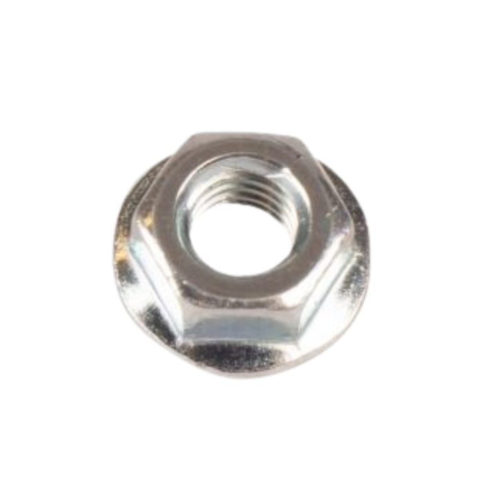 Nut in the group at Entreprenadbutiken (5880070-01)
