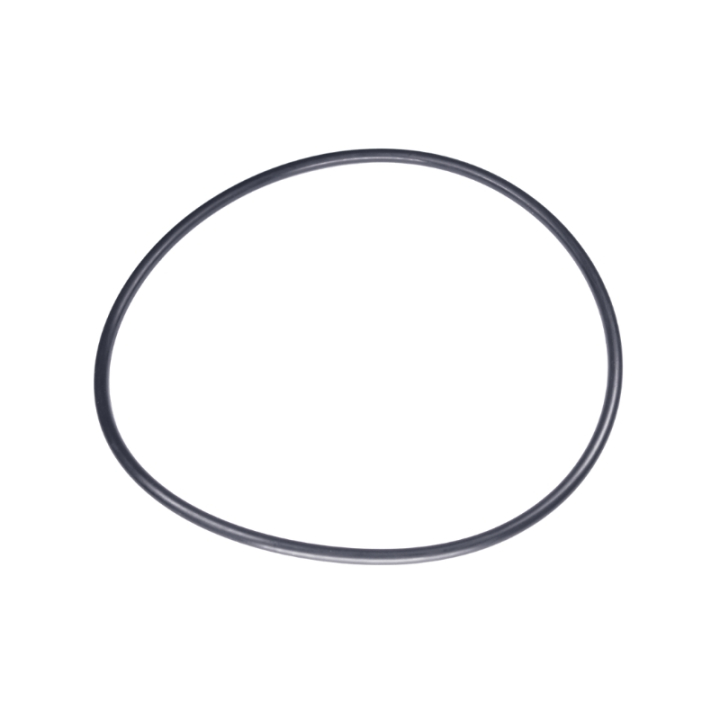 O-Ring 160X5.5 5885243-01 in the group at Entreprenadbutiken (5885243-01)