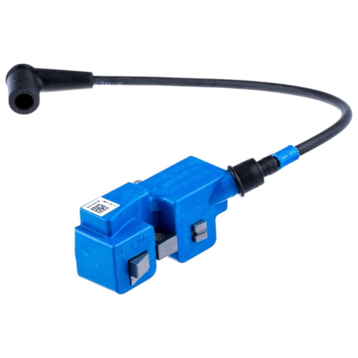 Ignition Module 5889374-03 in the group  at Entreprenadbutiken (5889374-03)