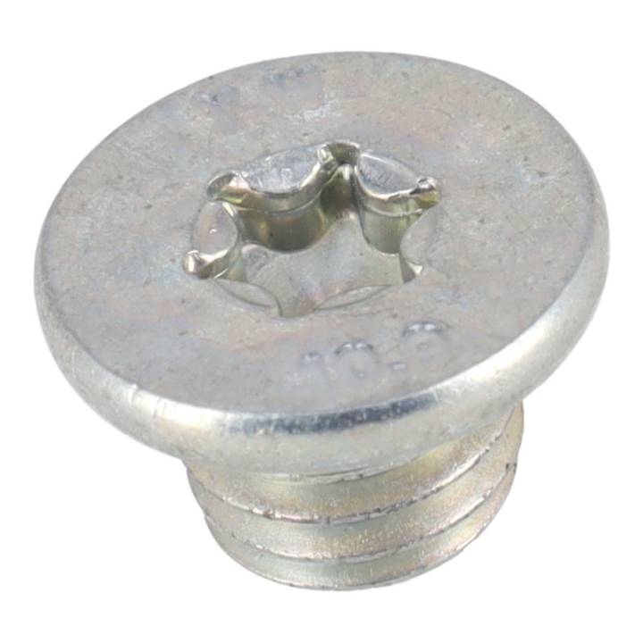 Screw Plug Hexalobular Socket in the group at Entreprenadbutiken (5906494-01)