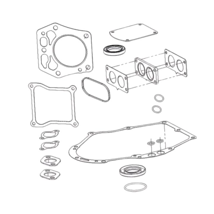 Gasket Kit in the group at Entreprenadbutiken (5985994-01)