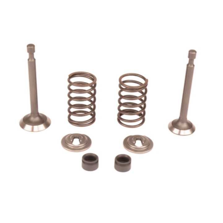 Valve Kit 5993490-42 in the group  at Entreprenadbutiken (5993490-42)