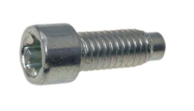 Screw in the group  at Entreprenadbutiken (698941)