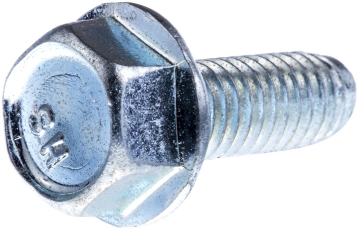 Screw in the group at Entreprenadbutiken (7252368-61)
