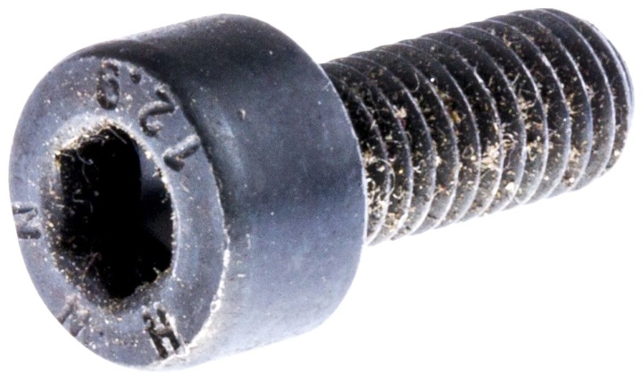Screw Mc6S 5X14 in the group  at Entreprenadbutiken (7255328-55)
