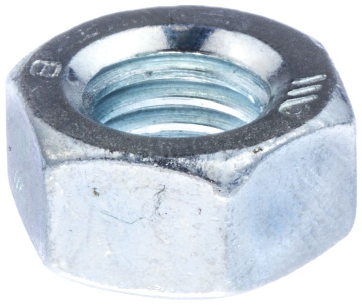 Nut in the group at Entreprenadbutiken (7312320-01)