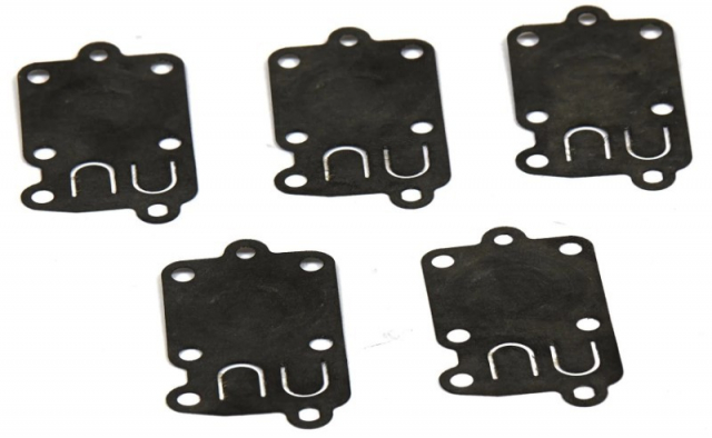 Gasket (10 X 272538S)