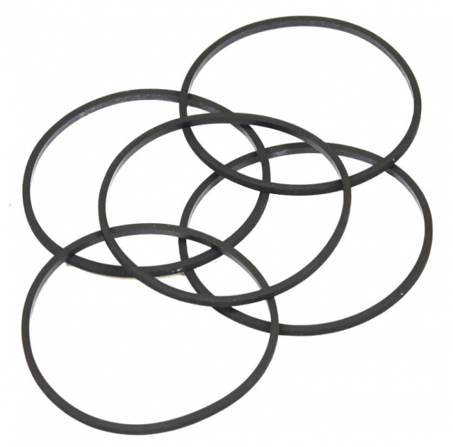 Gasket (5 X 281165S)