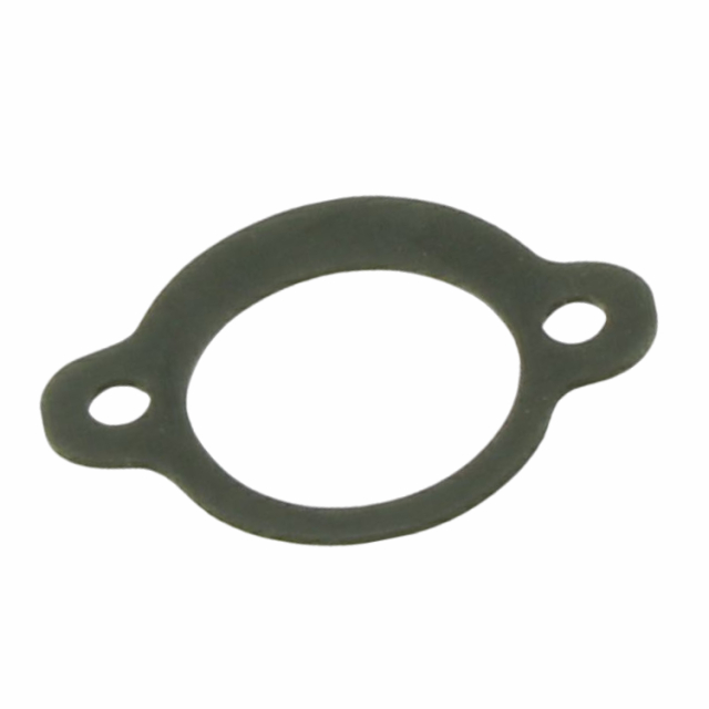 Gasket Air Filter 5018156-01