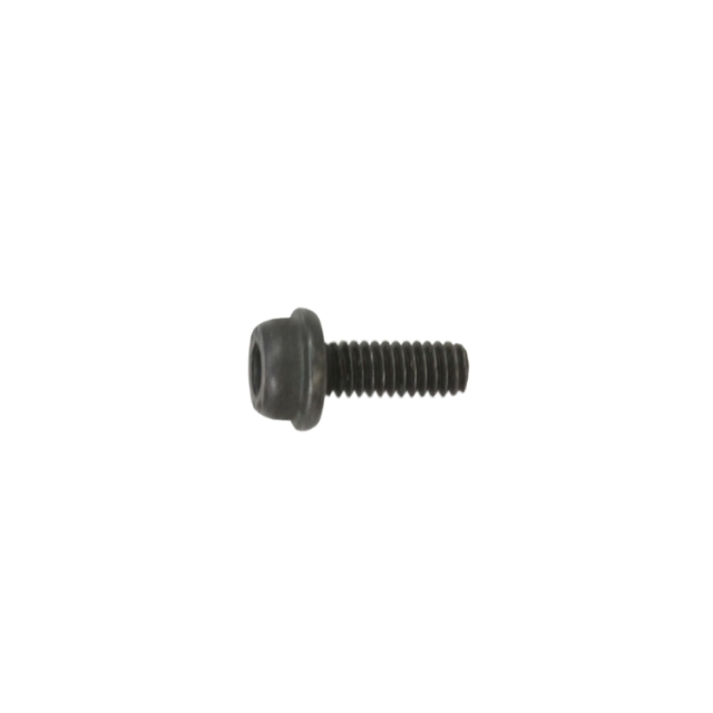 Screw 5032078-10