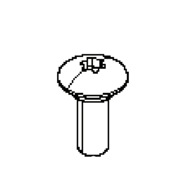 Screw 5066143-01