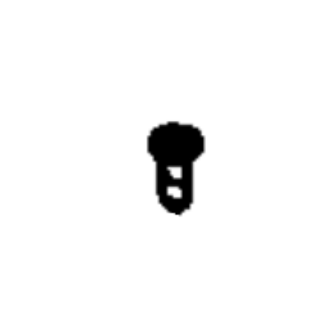 Screw