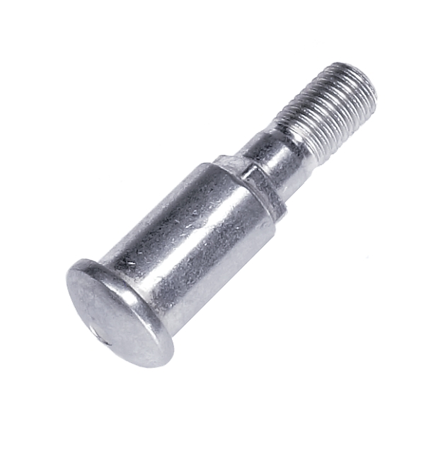 Screw