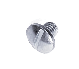 Screw without coating