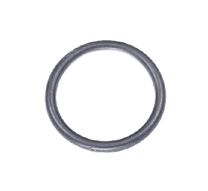 O-ring / seal