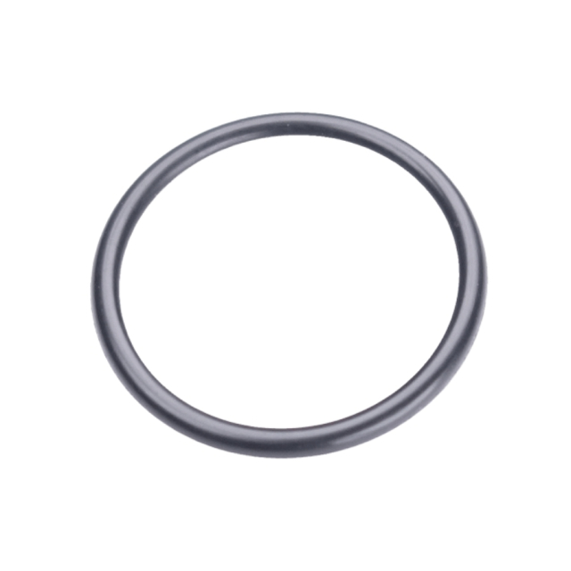 O-Ring 21.5X1.5 5203999-01