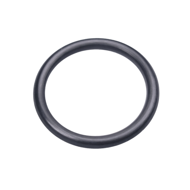 O-Ring 22X2.5 5204646-01