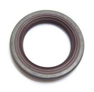 Radial Seal 5253912-01