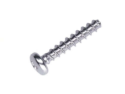 Screw 5255597-01